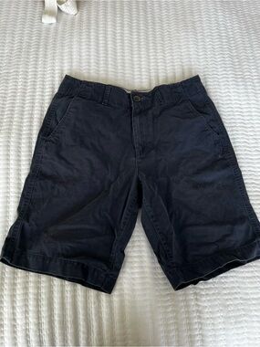 American Eagle Outfitters Men's Navy Flat Front Shorts